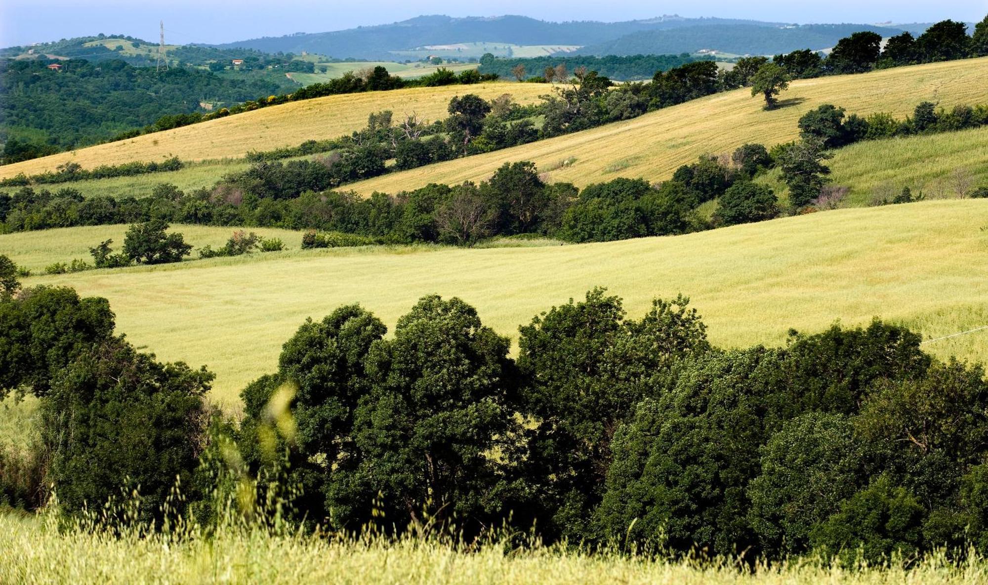 Saturnia Tuscany Country House Dış mekan fotoğraf